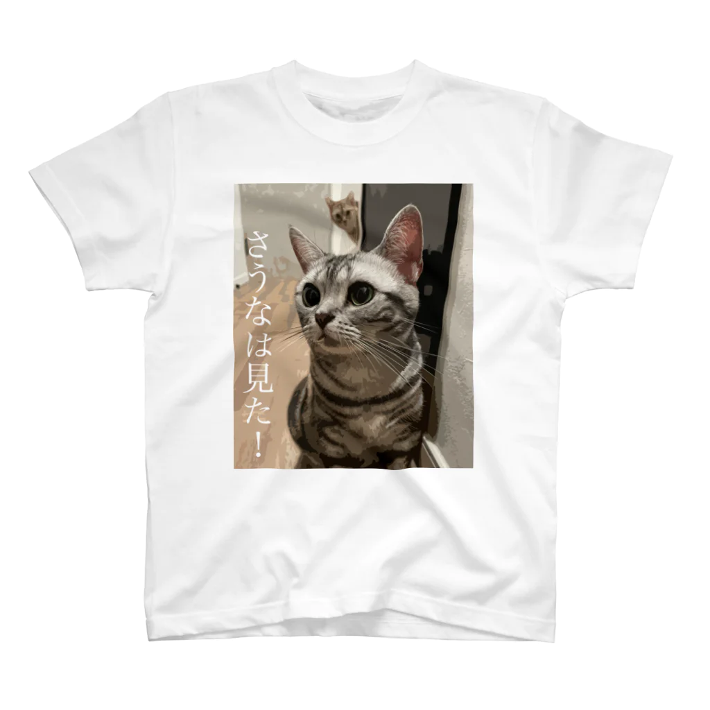 menma_saunaのさうなは見た！ Tシャツ スタンダードTシャツ