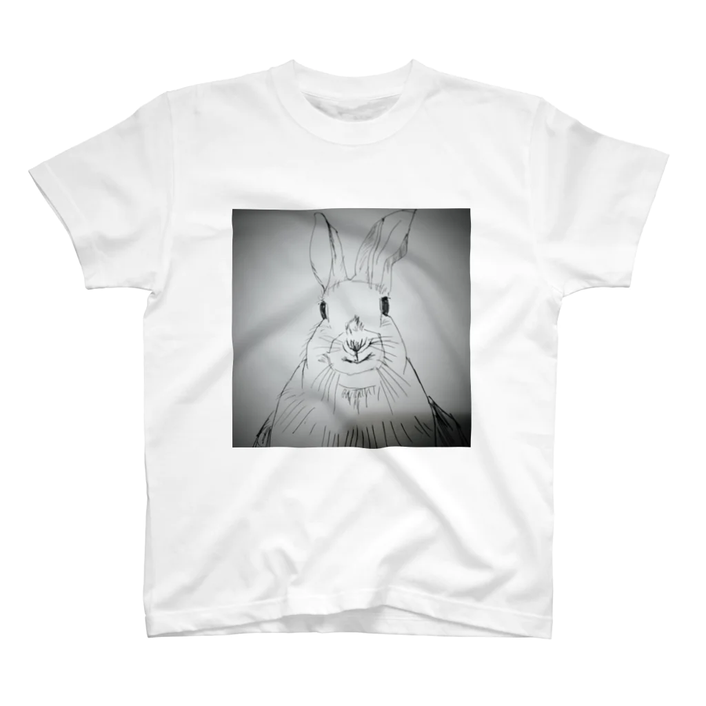 Kumya37のPeter rabbit スタンダードTシャツ