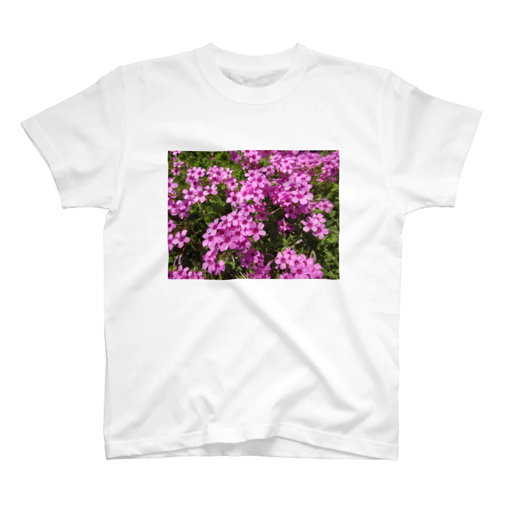 Dreamscape(LUNA)の野の花の可憐さ・・・ スタンダードTシャツ