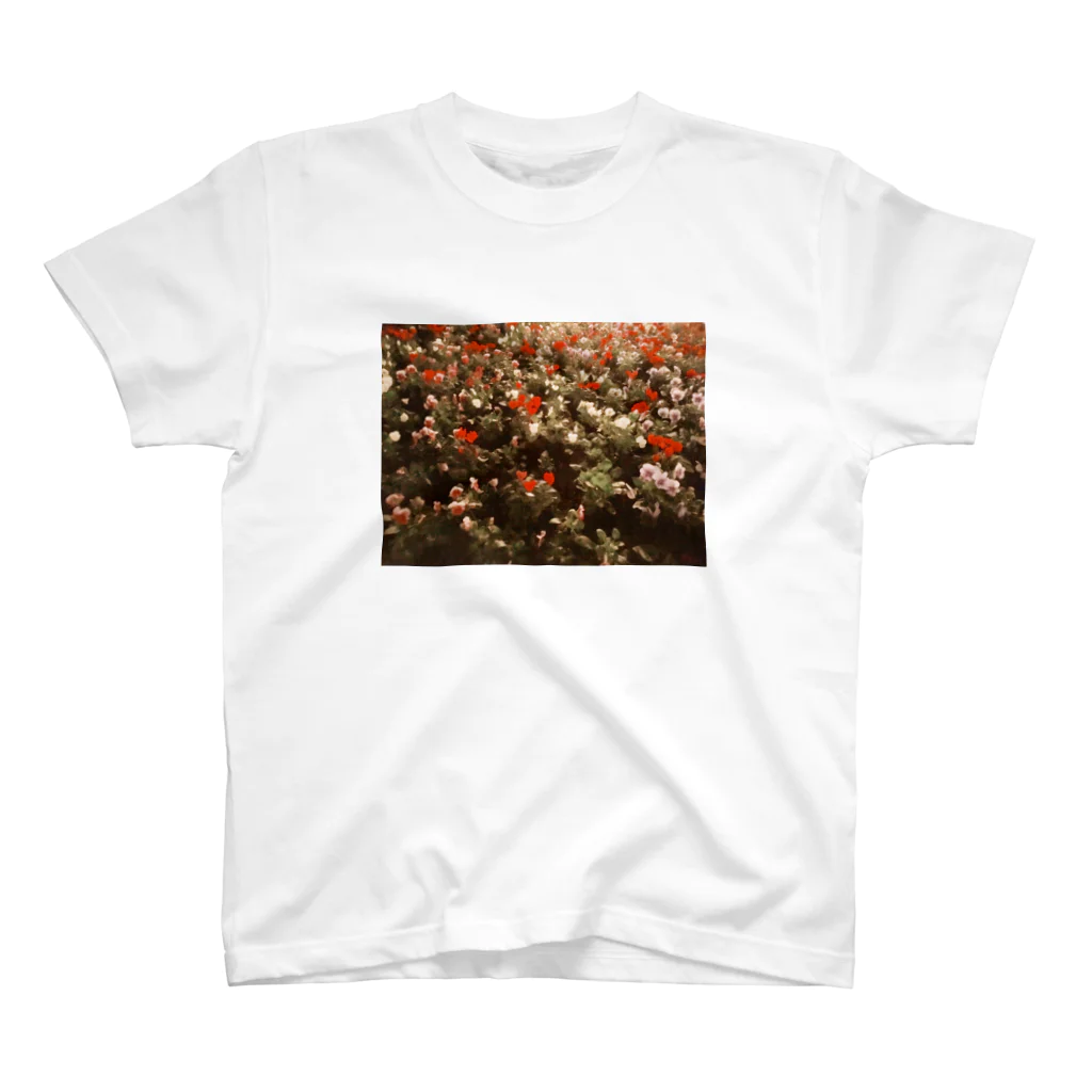 クルミの夜の花壇 スタンダードTシャツ