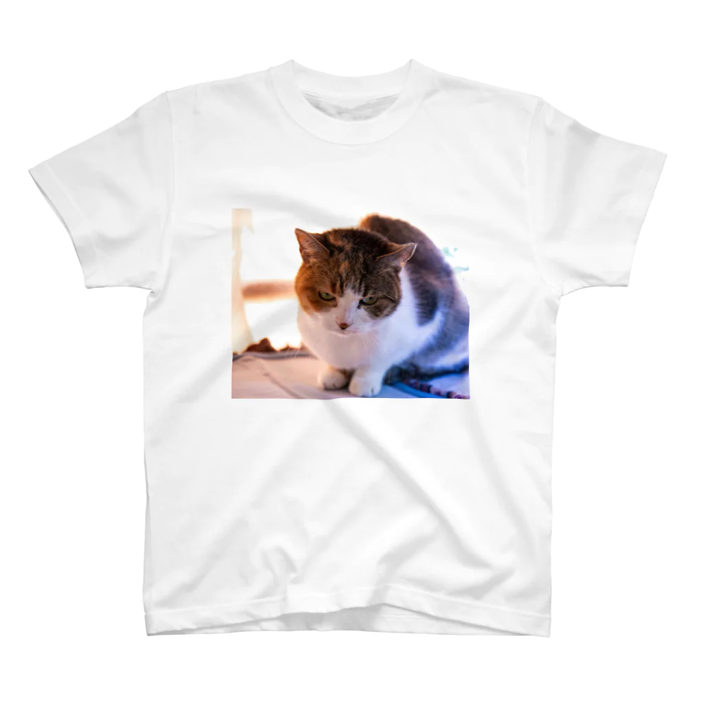 Takuya-craftの眼つきの悪い猫 スタンダードTシャツ