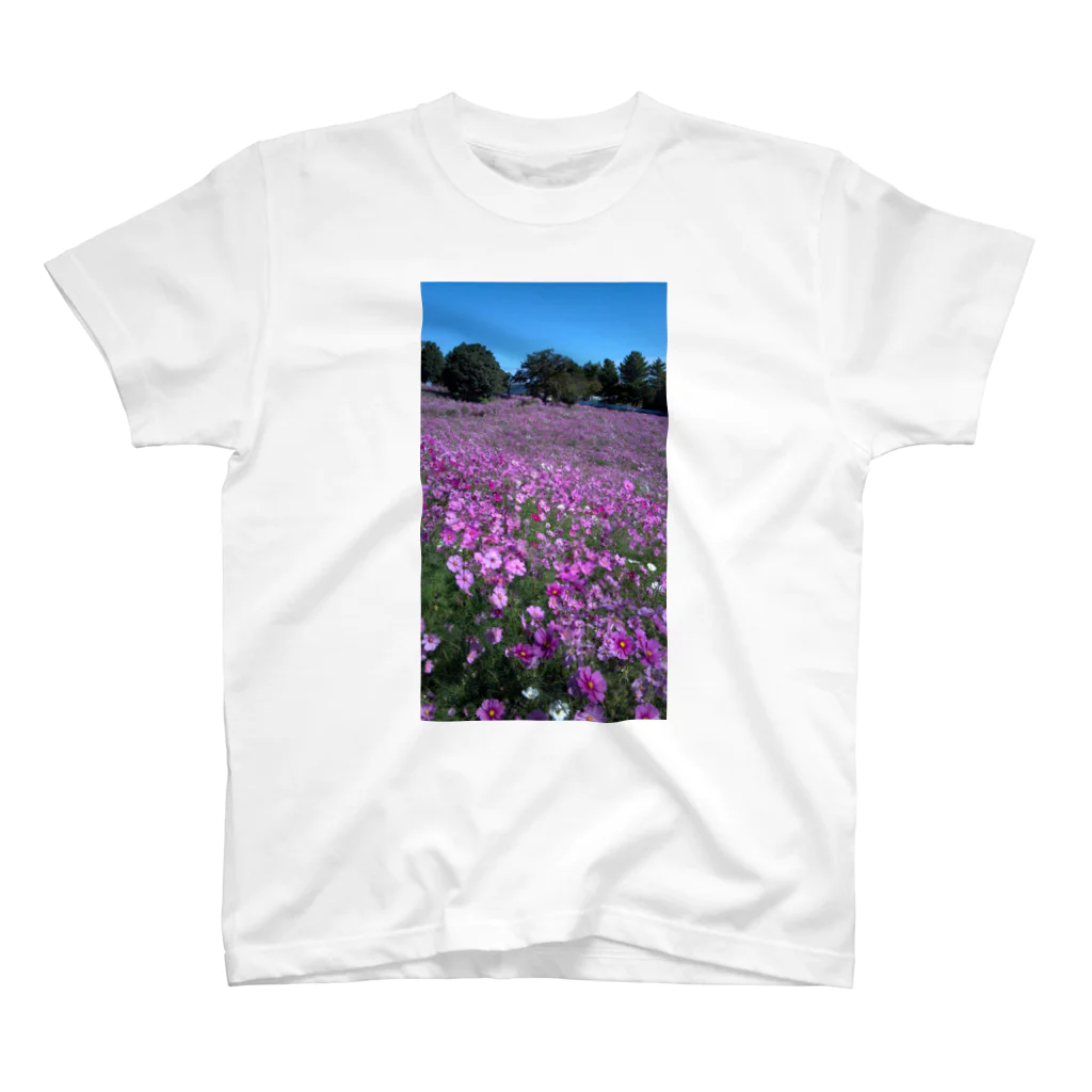 stigmaの秋桜 スタンダードTシャツ