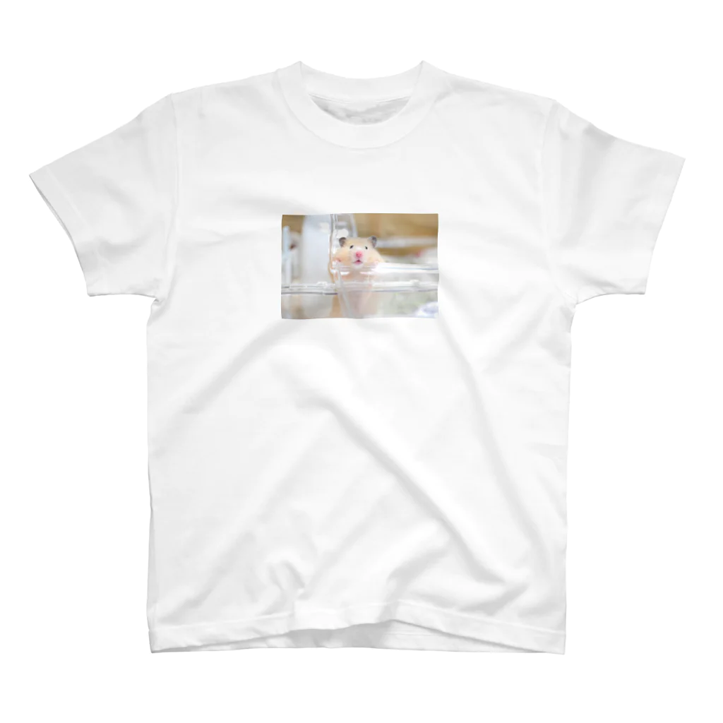 すいすいストアのたんぽぽちゃん Regular Fit T-Shirt