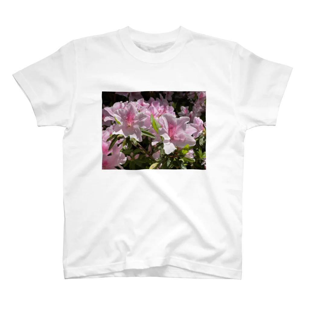 sadotrip | Delightのsadotrip | 花咲く スタンダードTシャツ