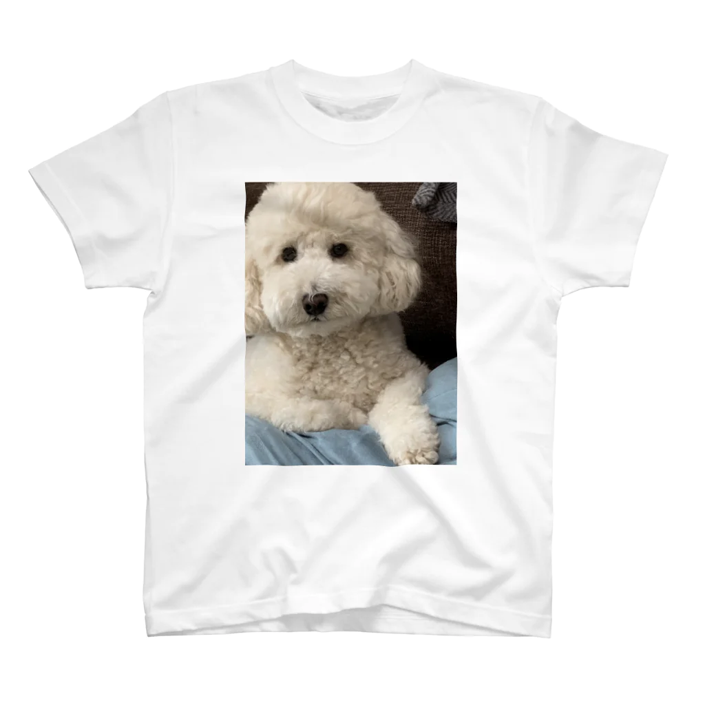 0526riのりつくんTシャツ🐶 スタンダードTシャツ