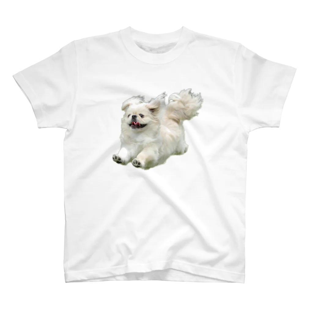 ペキニーズのとろろの飛行犬のペキニーズのとろろ スタンダードTシャツ