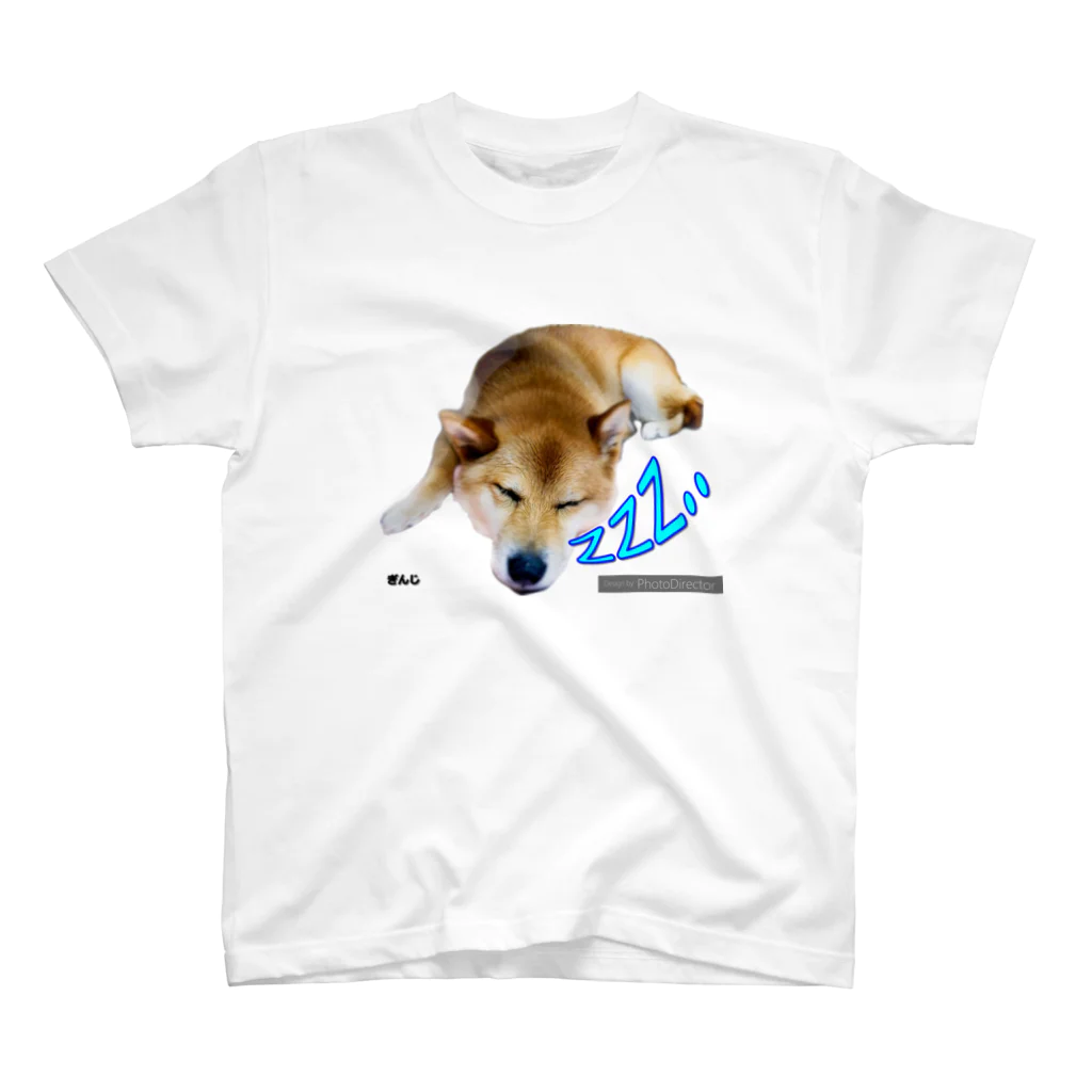 個人的趣味色の柴犬のいる生活2 スタンダードTシャツ