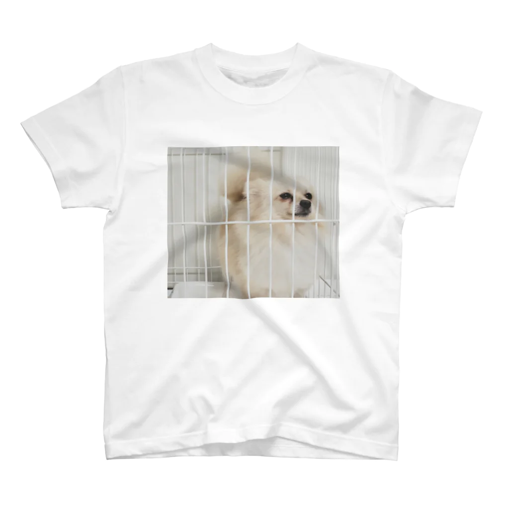 うるマートのシンプルかわいいポメラニアンのうる(実写の犬) Regular Fit T-Shirt