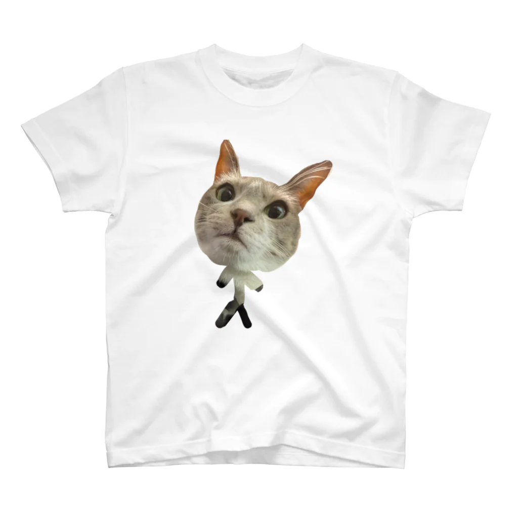 自粛のうちの猫かわいい Regular Fit T-Shirt