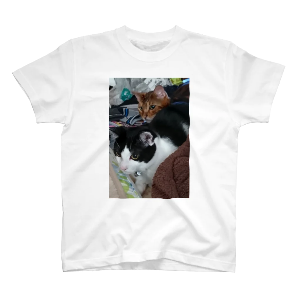 モフタヌのウシ君とお兄ちゃん猫、いたずら中 スタンダードTシャツ