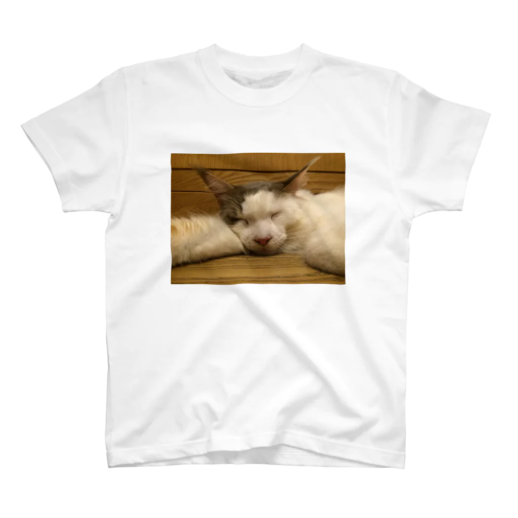 ippo10の猫 スタンダードTシャツ