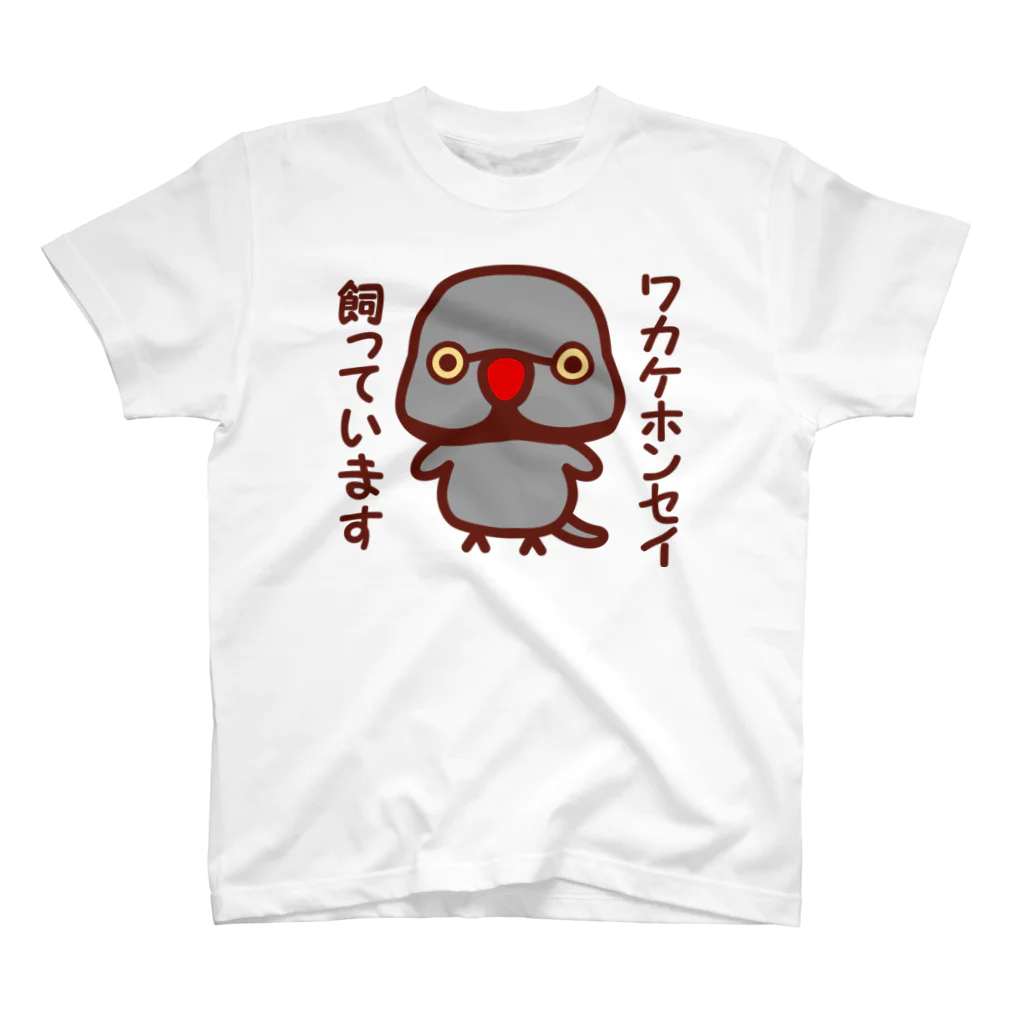 いんこ屋堂のワカケホンセイインコ飼っています（グレー♂） スタンダードTシャツ