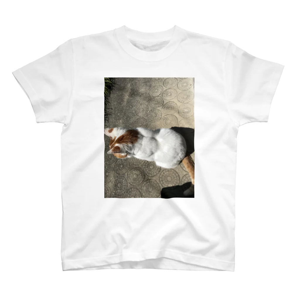 akari☺︎︎の愛しの猫 Regular Fit T-Shirt