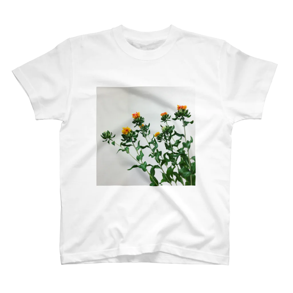 kirinorangeのベニバナ Regular Fit T-Shirt