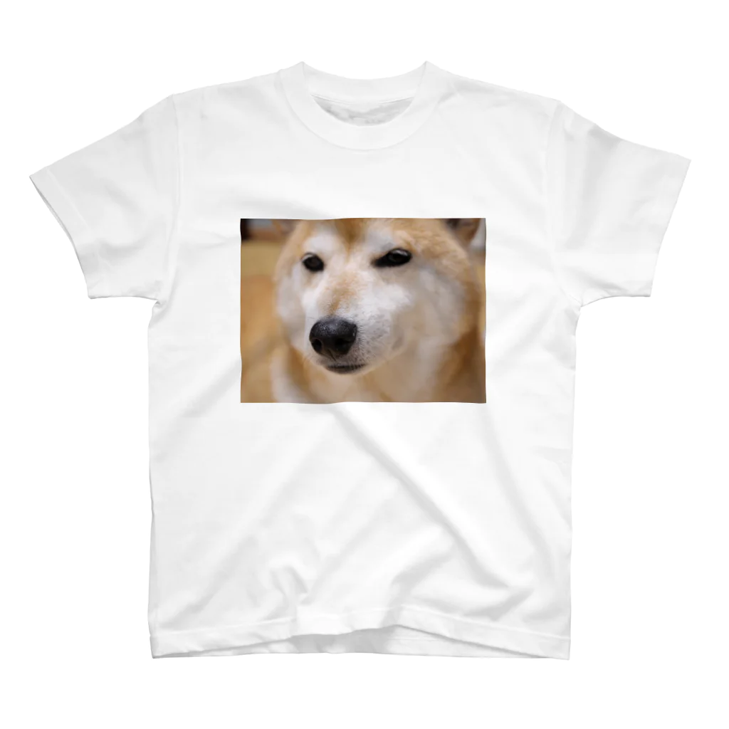 tamanikawaii_shibainuのすまし顔の柴犬♂ Regular Fit T-Shirt