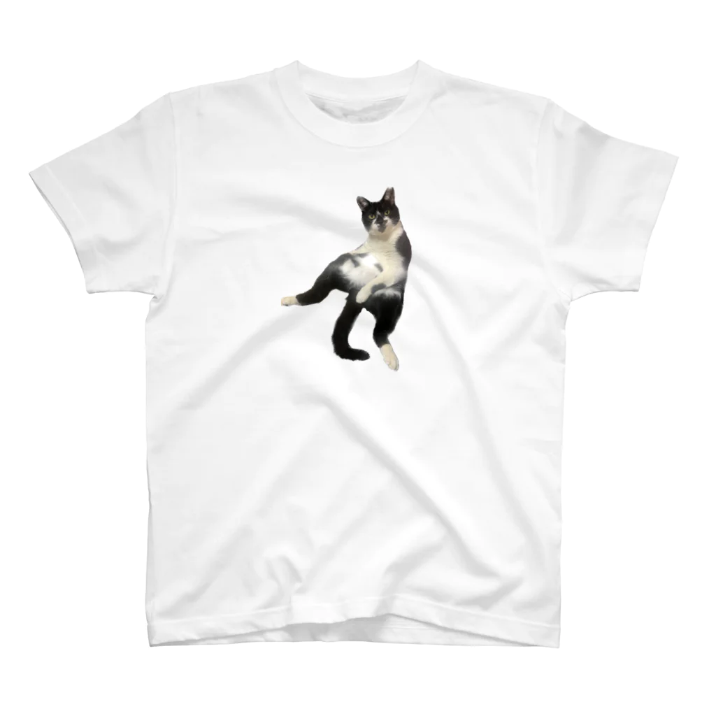 まきぼっくりのひょうきん猫カンタくん スタンダードTシャツ