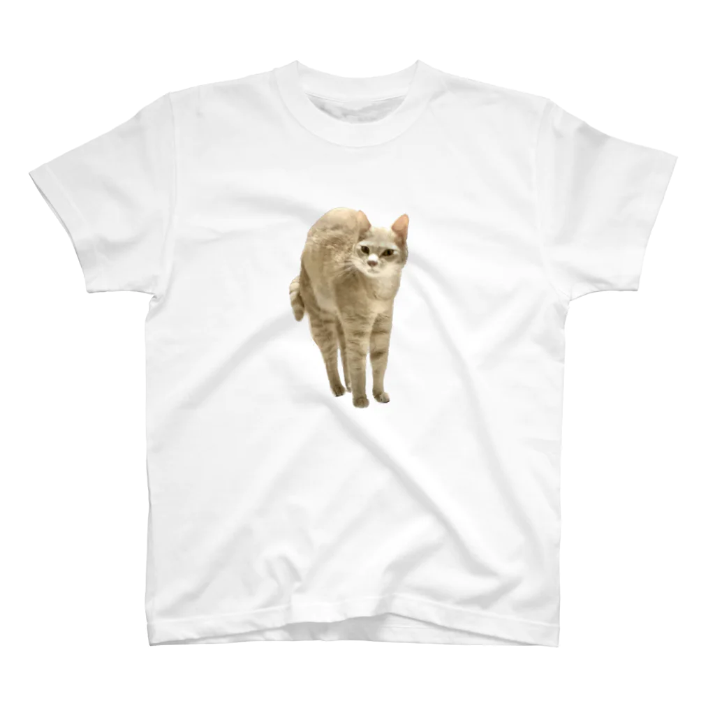 茶トラねこずの伸びるシロ Regular Fit T-Shirt