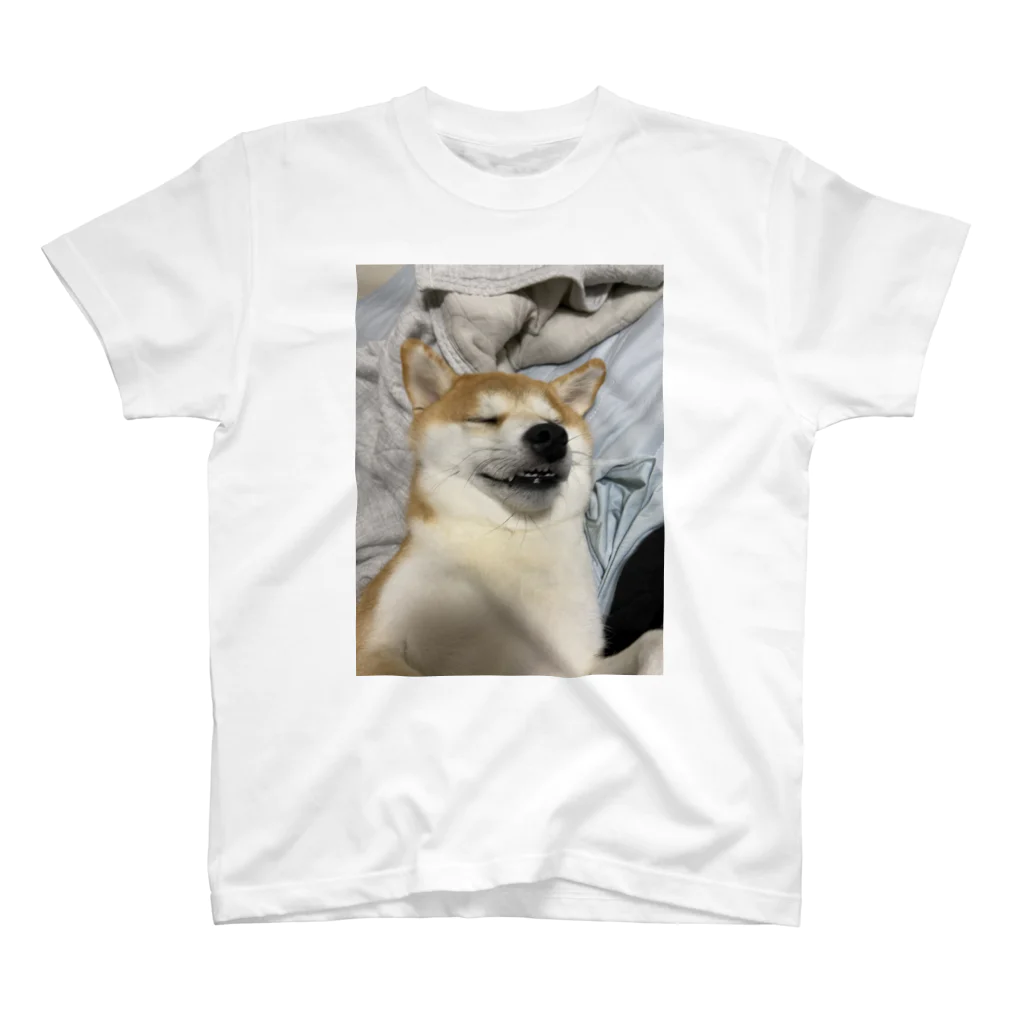 笛ガムのまどろみ犬 スタンダードTシャツ