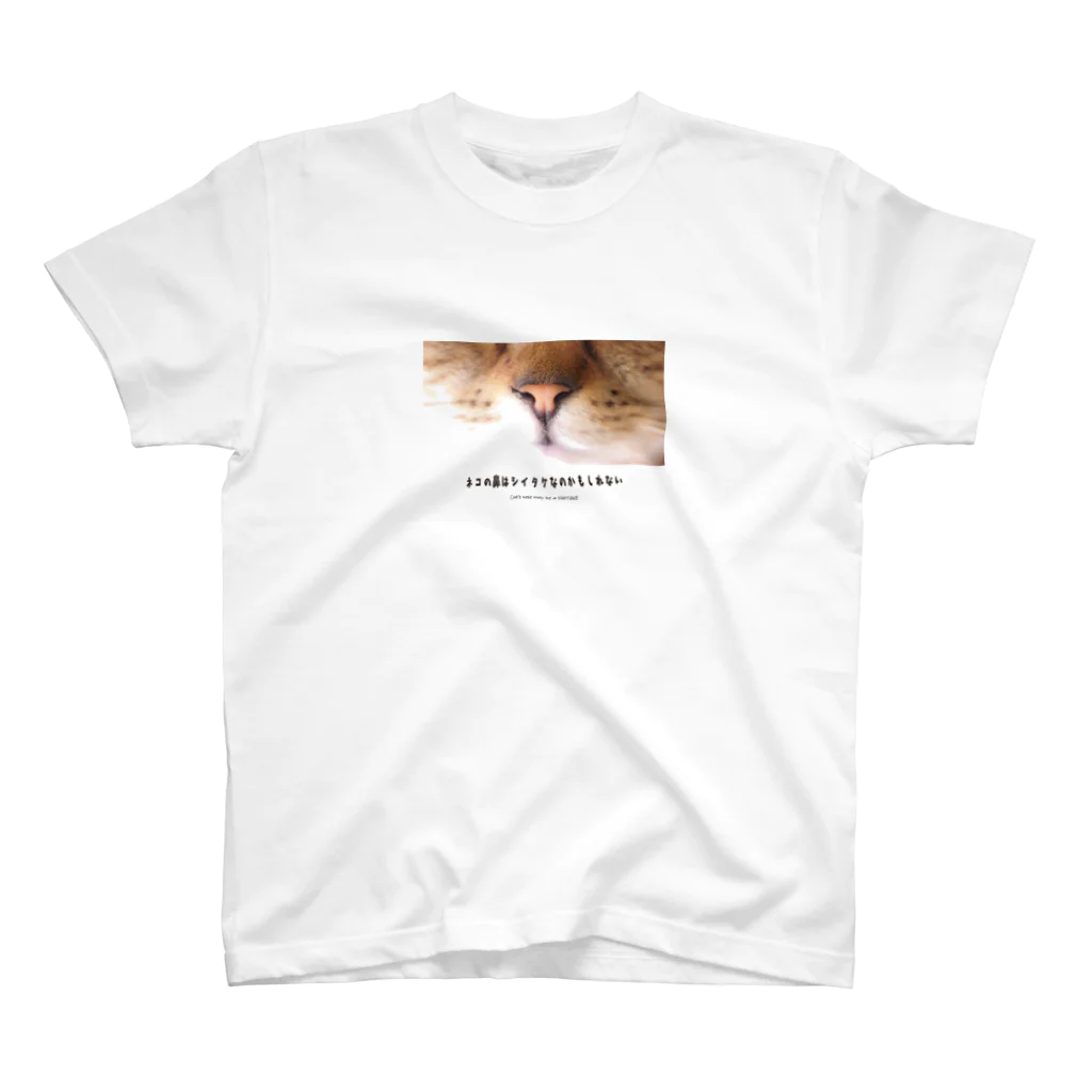 Maison PHOTOGRAPHICA分室のネコの鼻はシイタケなのかもしれない スタンダードTシャツ