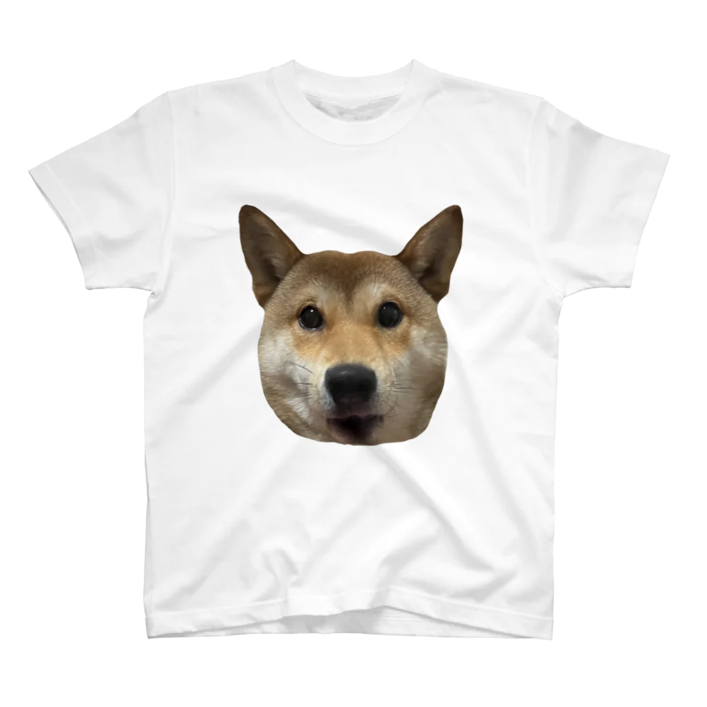 おいしいごはん！のショックを受けている柴犬 Regular Fit T-Shirt