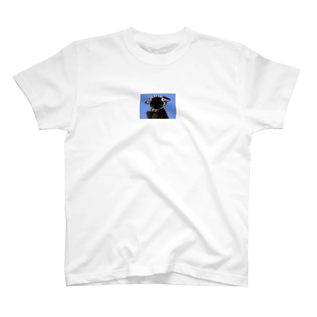 ito___desuのかわぽぽだるめしあん Regular Fit T-Shirt