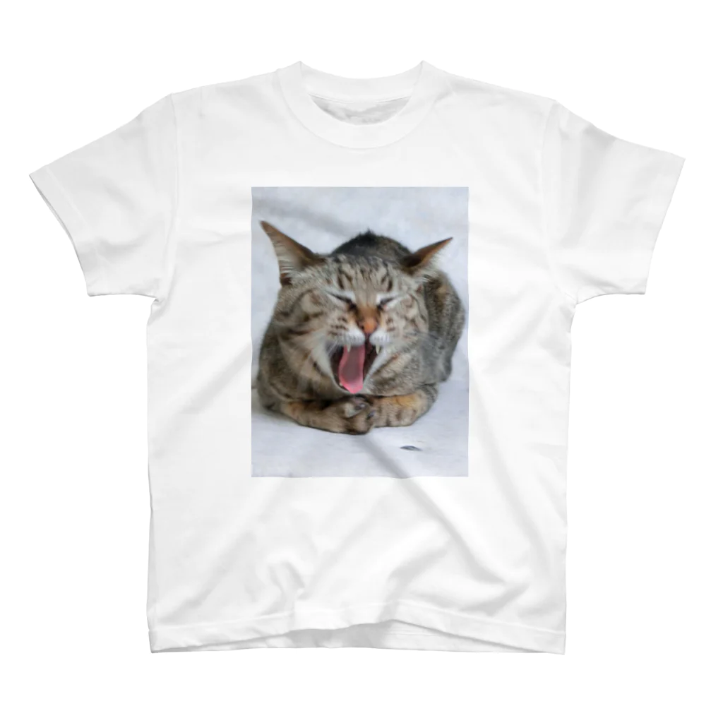 笑い猫堂SUZURI店の雉猫大欠伸 Regular Fit T-Shirt