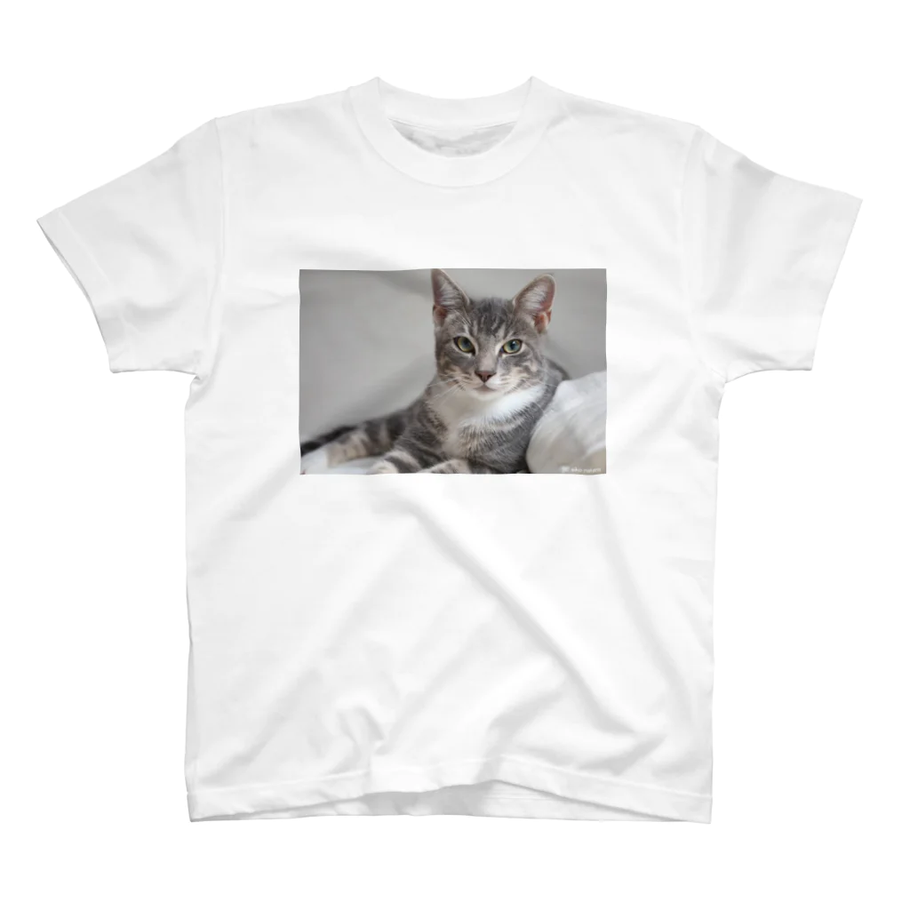 Aiko Nakanoのcat_20180712_7006' スタンダードTシャツ