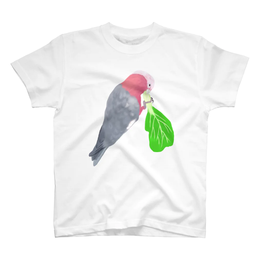 Lily bird（リリーバード）のチンゲン菜食べるモモイロインコ スタンダードTシャツ