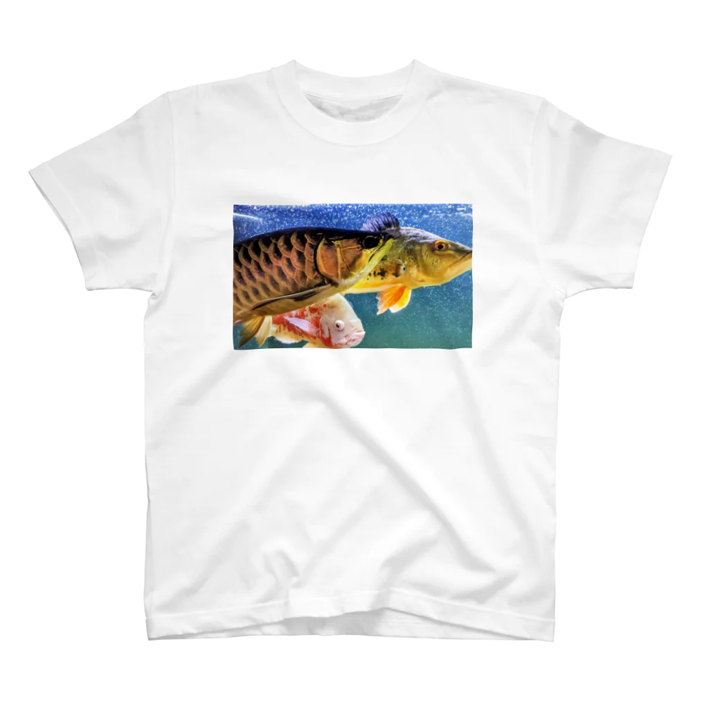 KazFishのアロキクオスカー スタンダードTシャツ