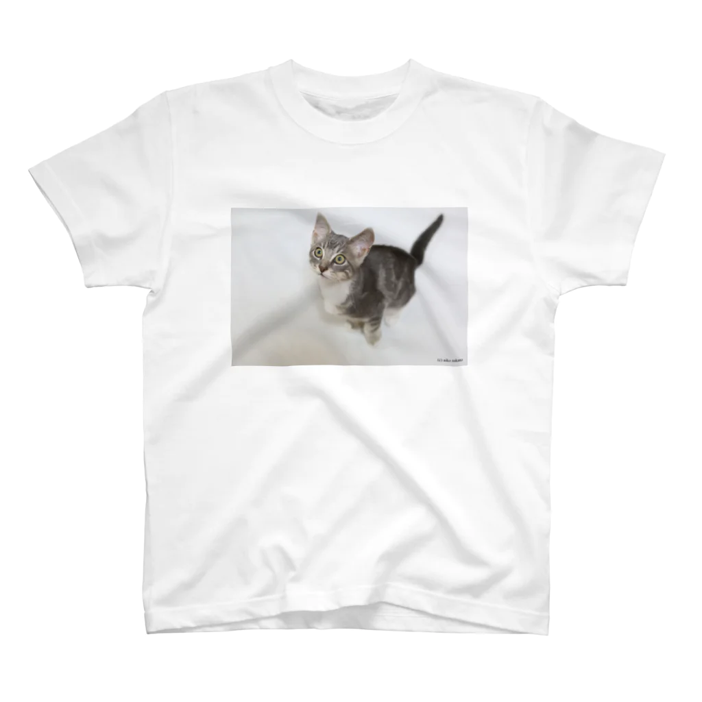 Aiko Nakanoのcat_20180515_2856' スタンダードTシャツ