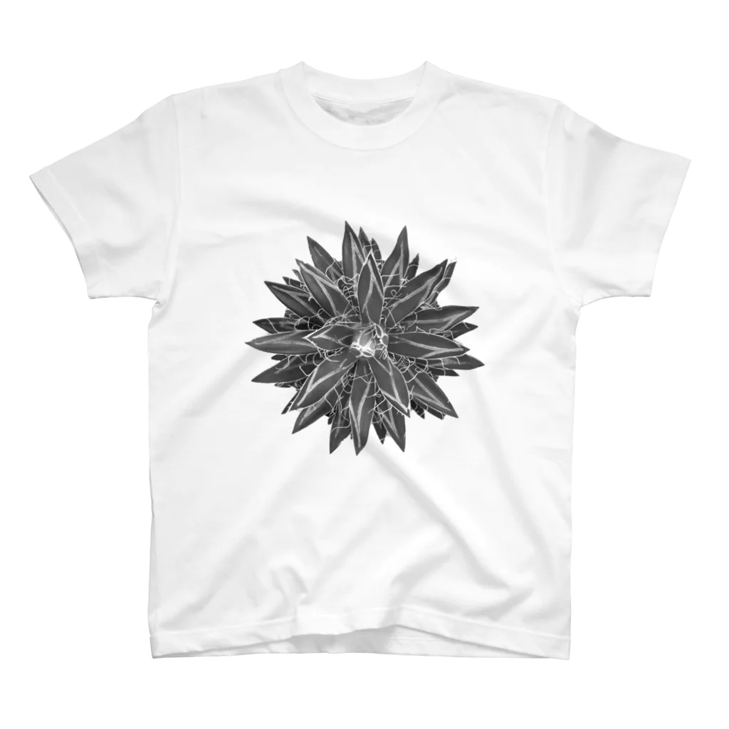 SawtoothのAgave schidigera 'Shira ito no Ohi' スタンダードTシャツ