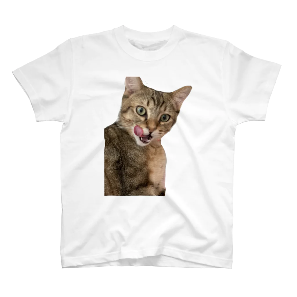 可愛すぎるうちのこのペロねこ　いとぺい Regular Fit T-Shirt