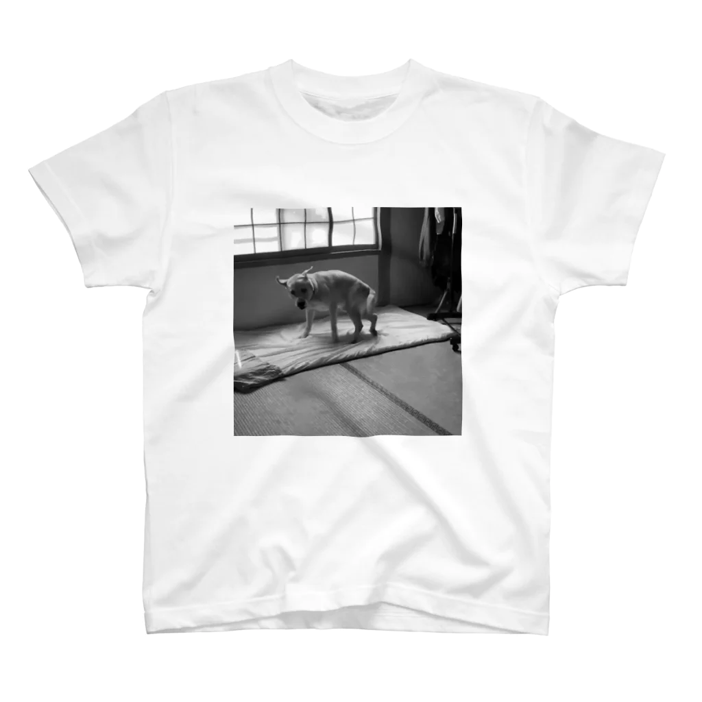 のりおの犬・ラブラドールレトリバー スタンダードTシャツ