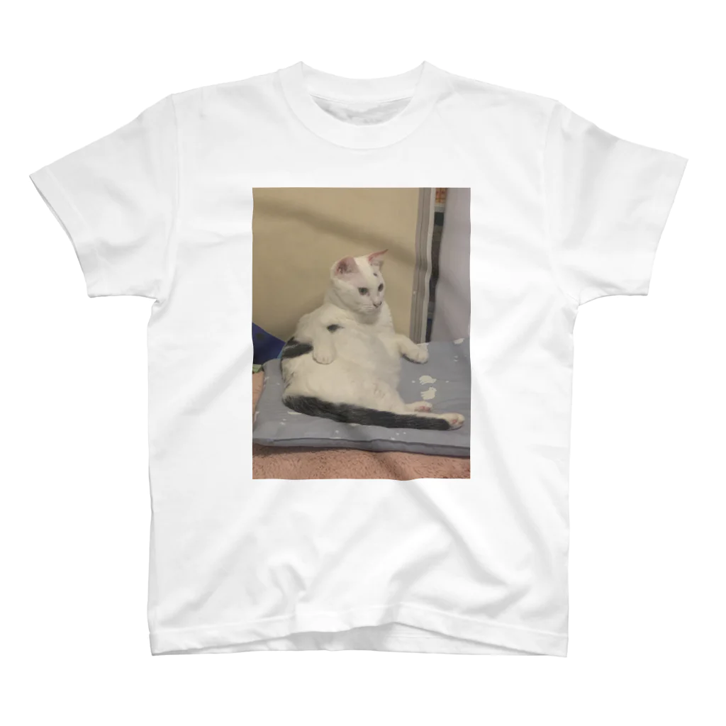 僕、牛じゃないです。猫です。のおっさん猫だらだらメモ Regular Fit T-Shirt