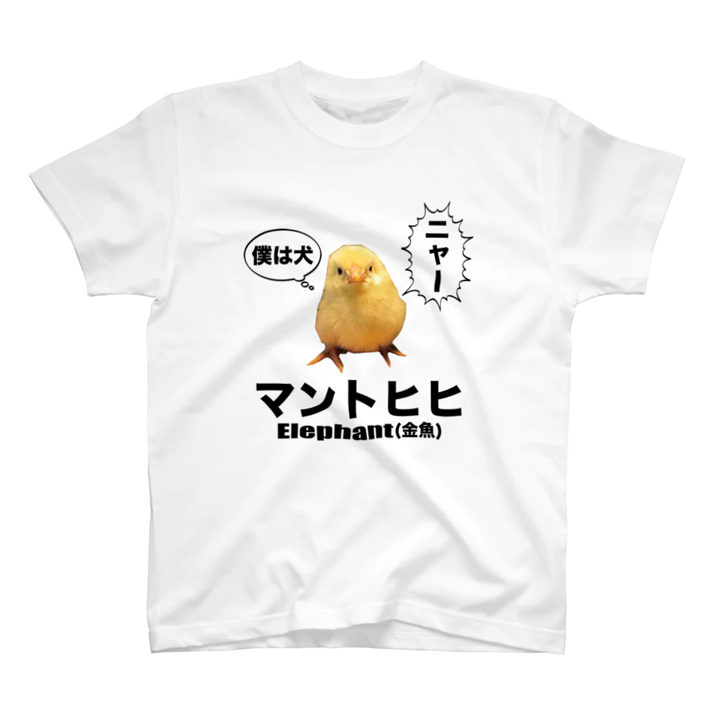 立花けんのグッズ屋さんのカンガルー Regular Fit T-Shirt