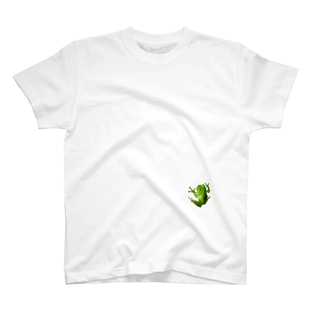 Aquarium Kindのフライシュマン・アマガエルモドキ Regular Fit T-Shirt