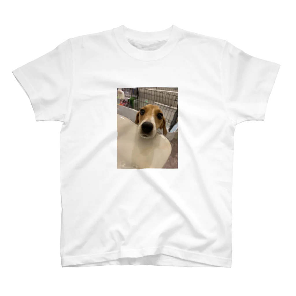 好きです犬！の3代目ビーグル スタンダードTシャツ