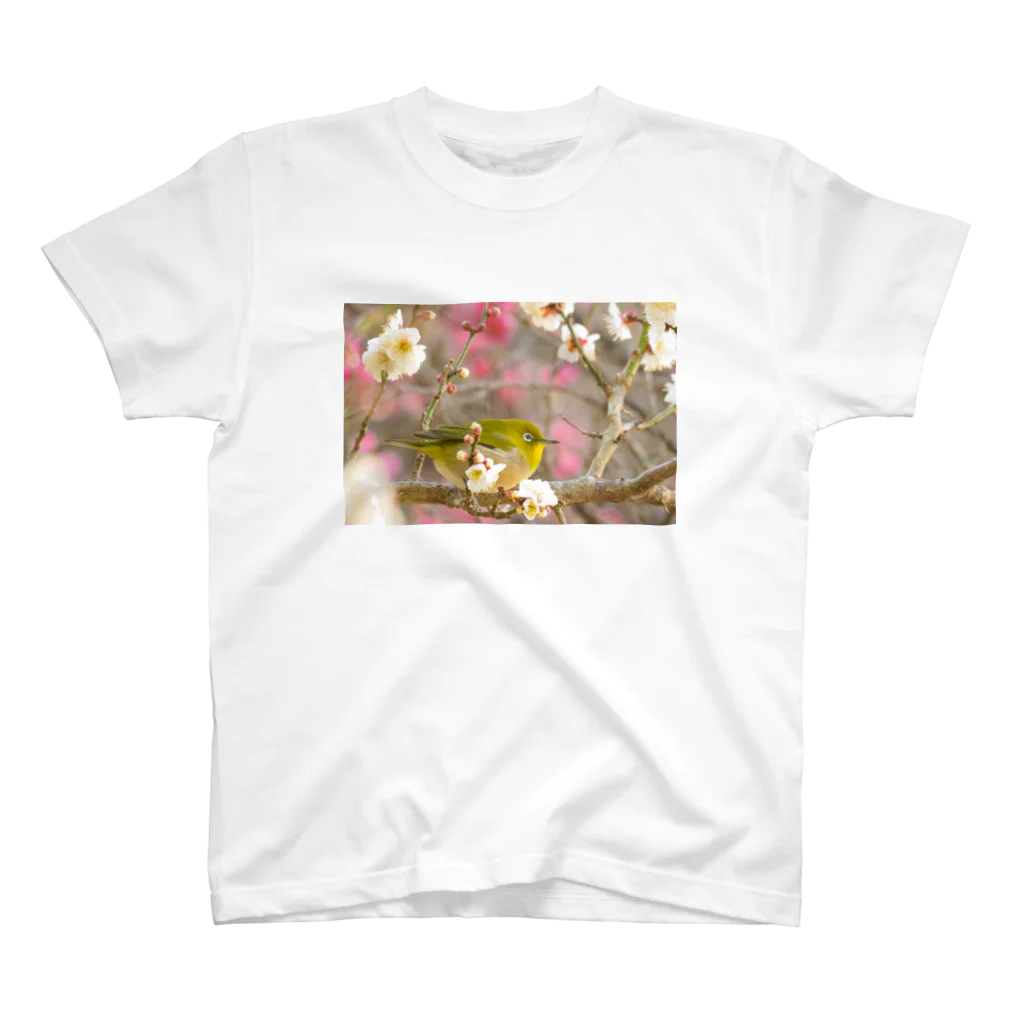 little CATSの鳥 スタンダードTシャツ