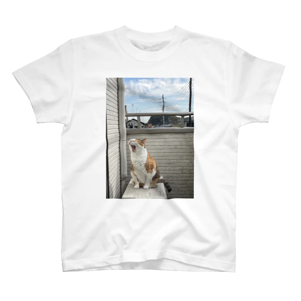 Relaxed moodの1日のはじまりはじまり猫ver スタンダードTシャツ