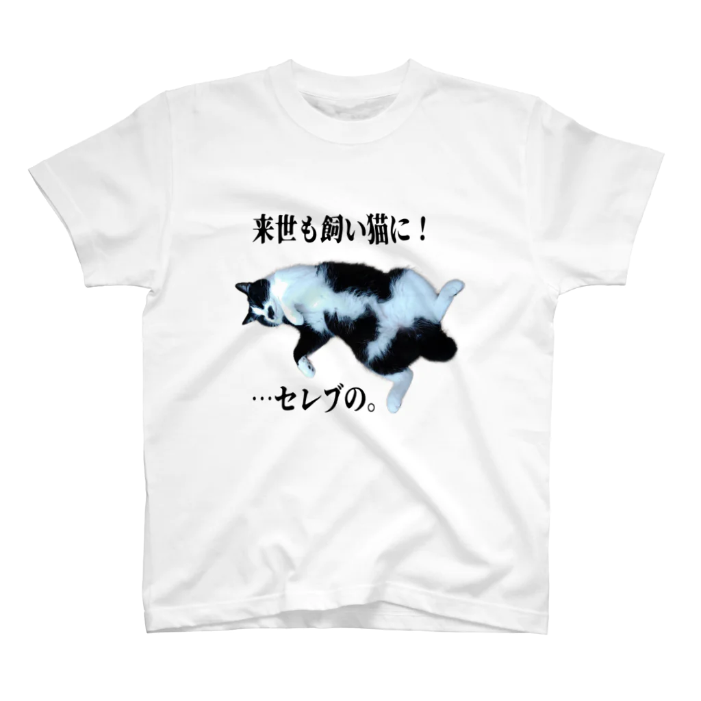 猫et架菜pPeのチョビ【野望】淡 Regular Fit T-Shirt