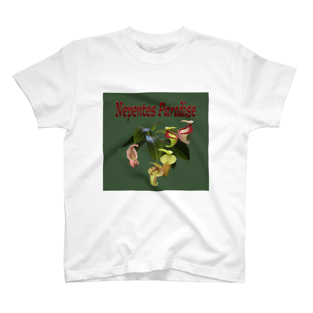 Exotc Peony～絵夢～のNepentes Paradiseシリーズ緑 スタンダードTシャツ