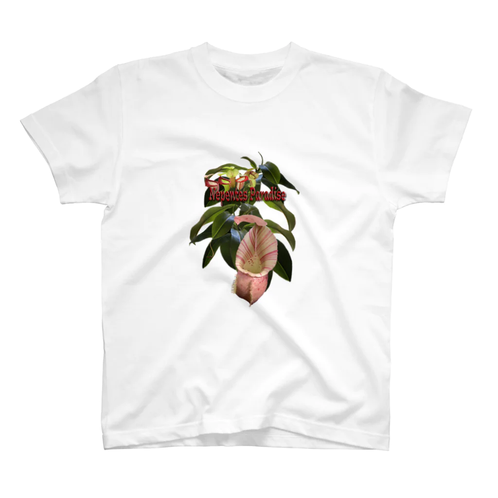 Exotc Peony～絵夢～のNepentes Paradiseシリーズ白 スタンダードTシャツ