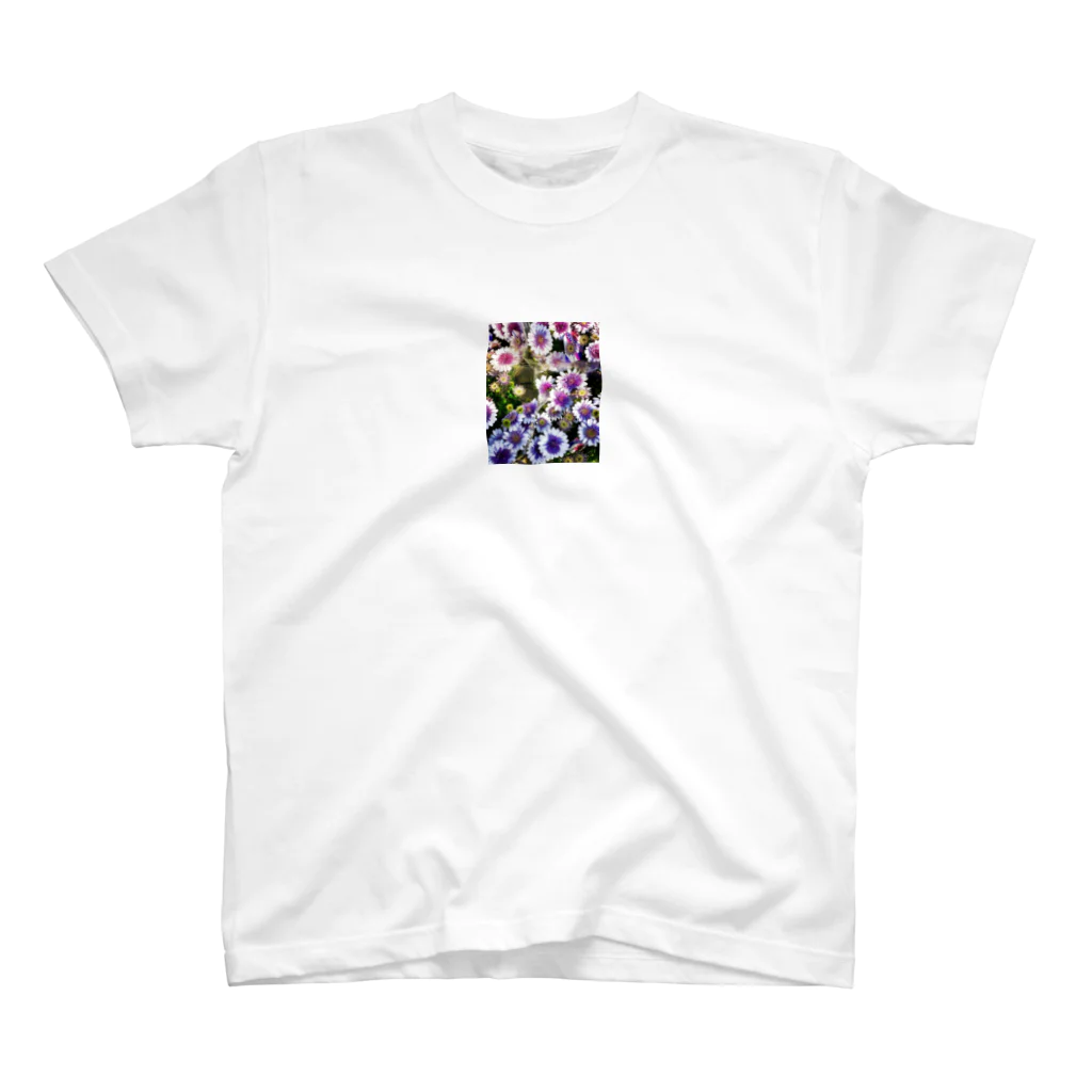 sg_nakanohitoのオステオスペルマム スタンダードTシャツ