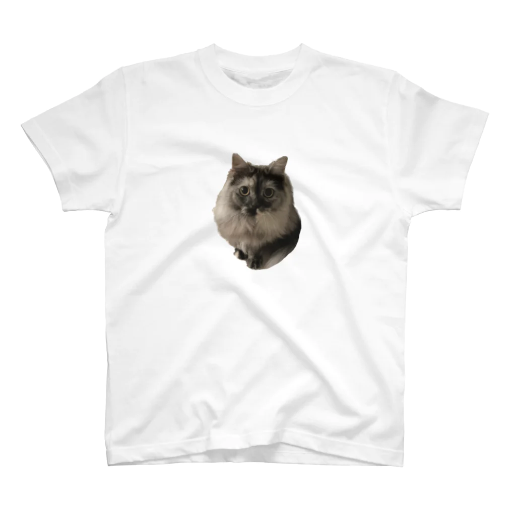 ドッポちゃんの可愛いモフ猫 スタンダードTシャツ