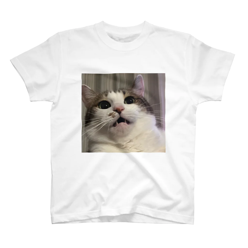 E.pmjのうちの猫 スタンダードTシャツ