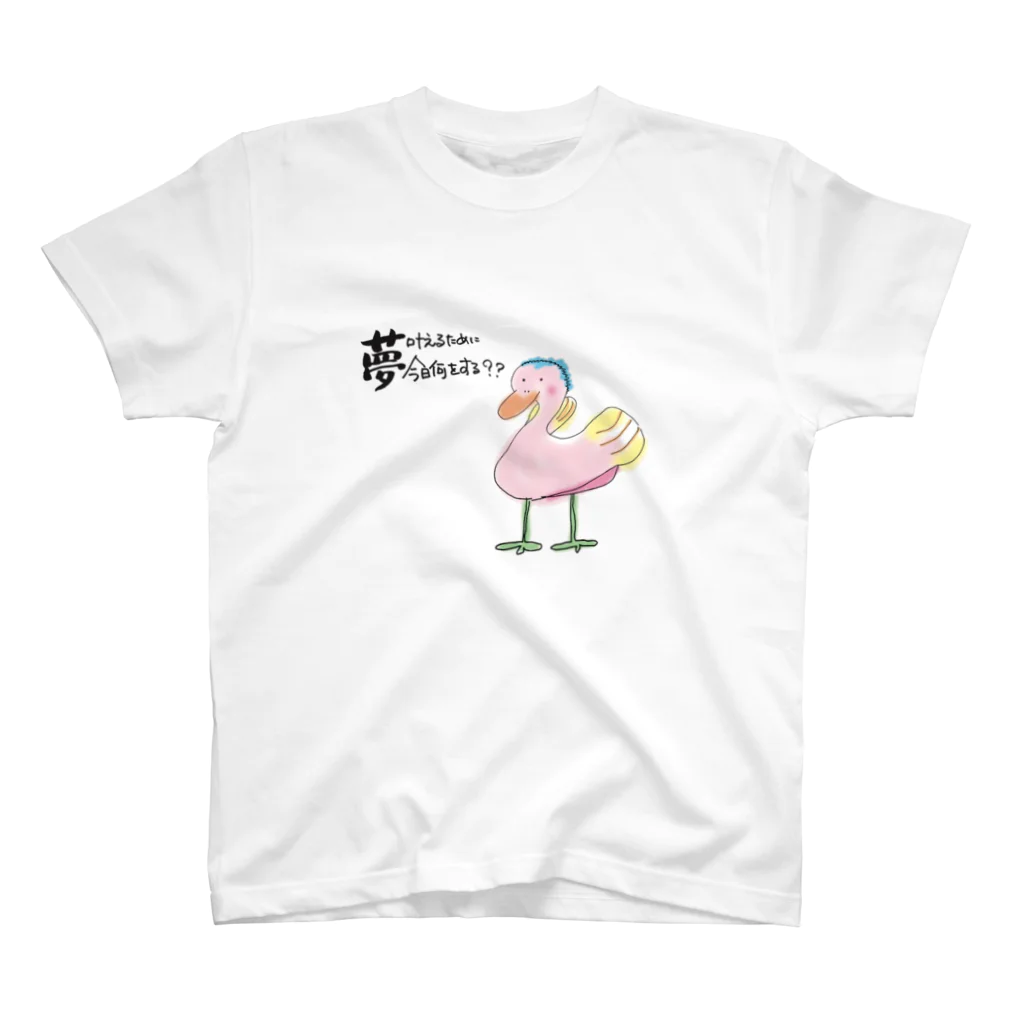 BisorashaのHakurasha スタンダードTシャツ