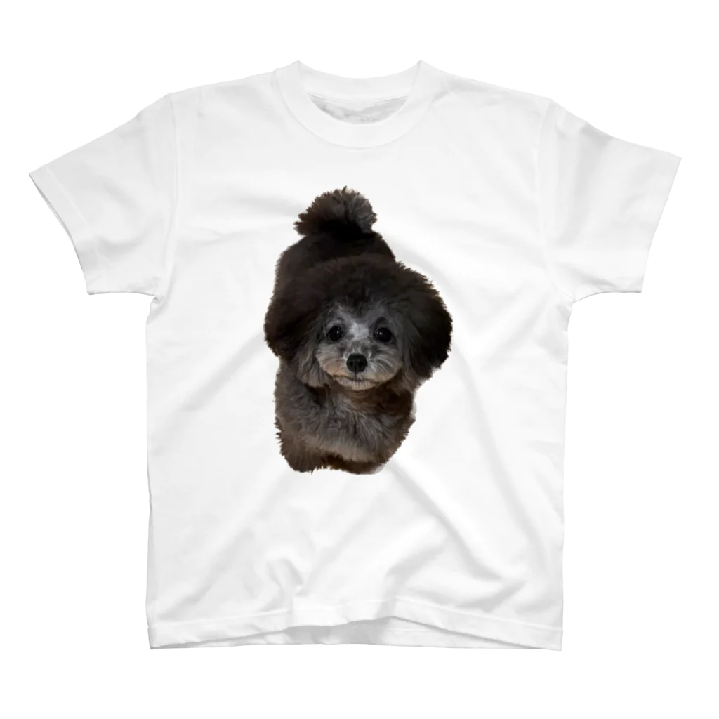 うちの犬のトイプードル(朔太郎) スタンダードTシャツ