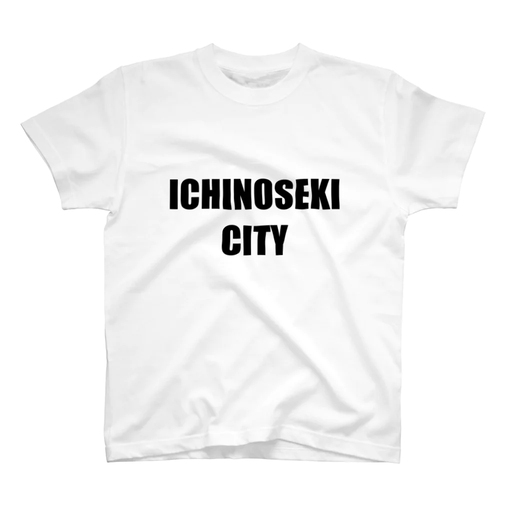 【公式】RE EARTH TV / リアスティーヴィーのICHINOSEKI CITY - Tee（BK-Light Color）スタンダードTシャツ Regular Fit T-Shirt