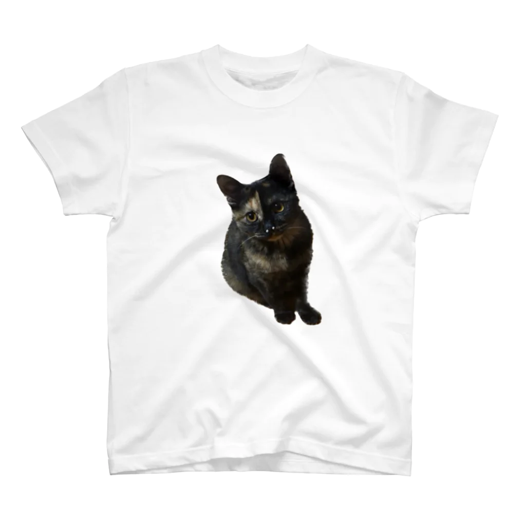 猫のひとりごとのサビ猫くう スタンダードTシャツ