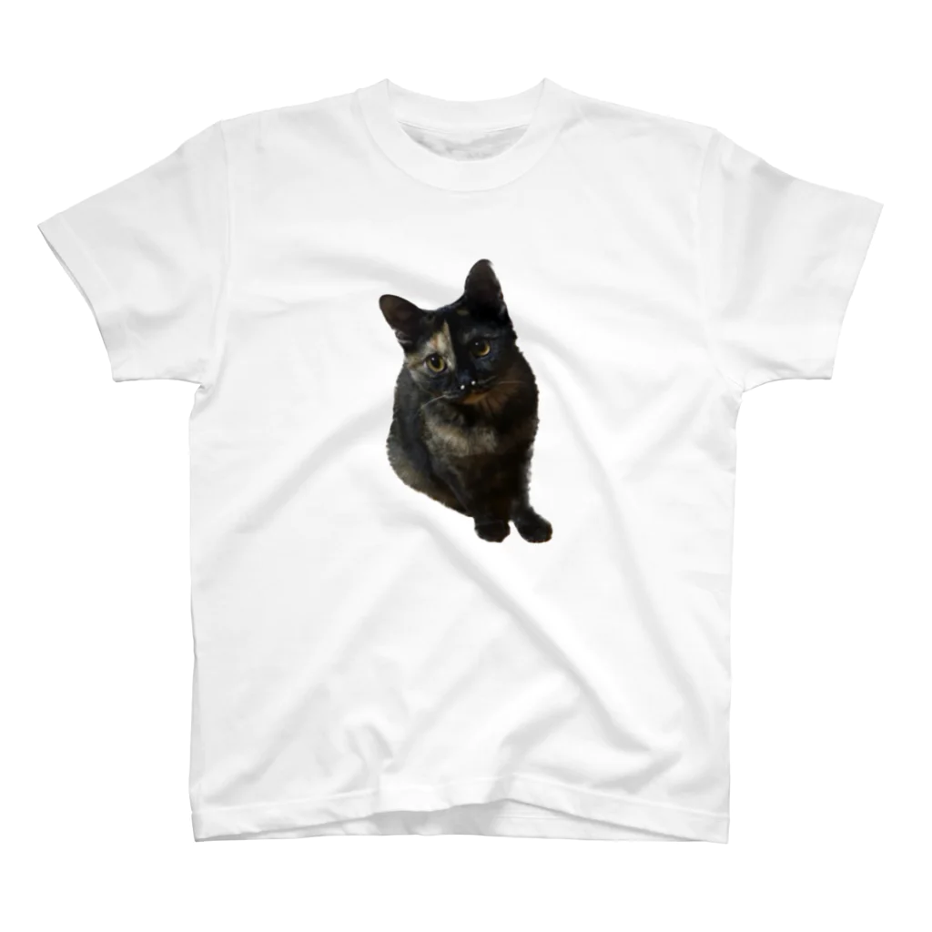 猫のひとりごとのサビ猫くう スタンダードTシャツ